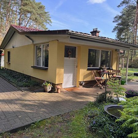 Ferienhaus Im Wald Borkwalde Exterior photo