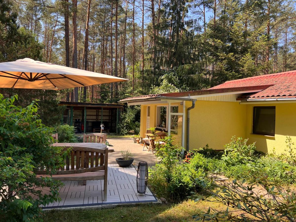 Ferienhaus Im Wald Borkwalde Exterior photo