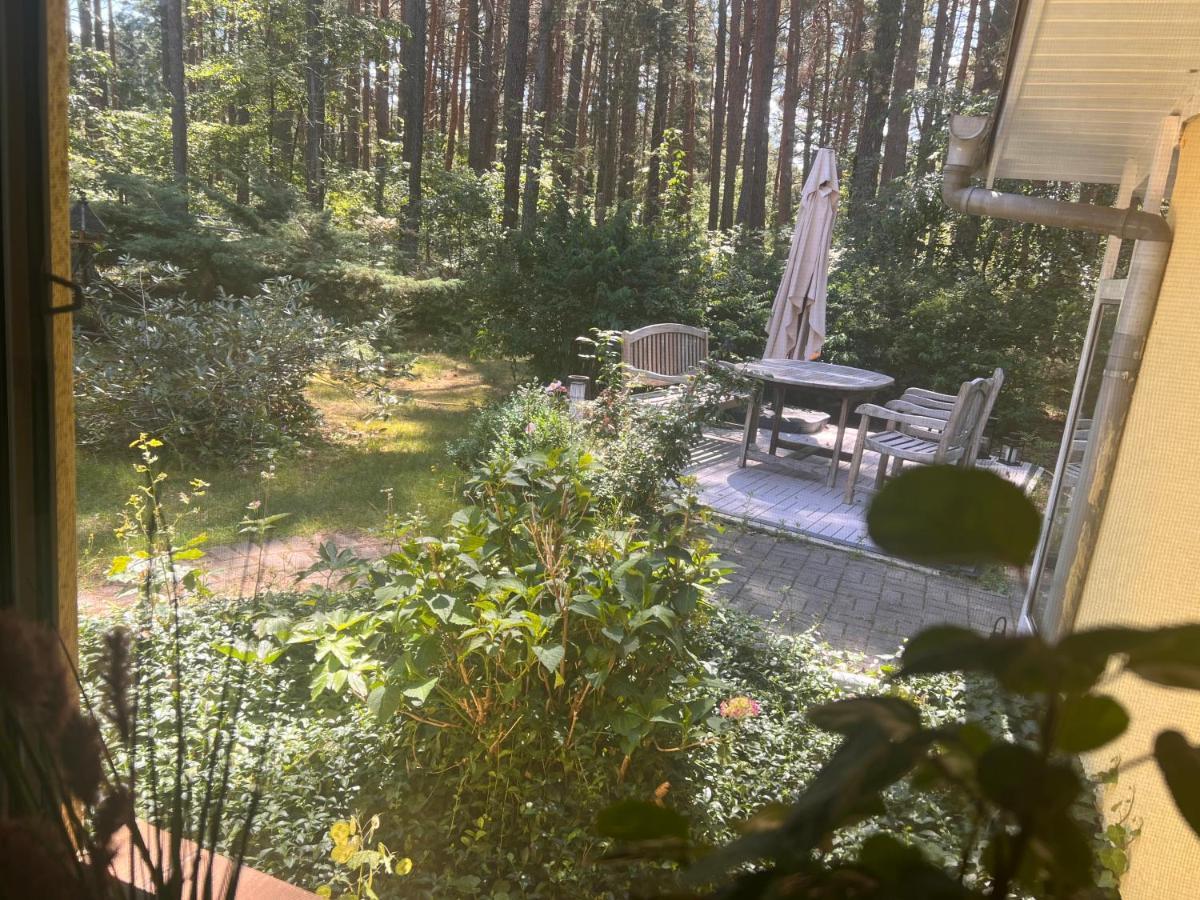 Ferienhaus Im Wald Borkwalde Exterior photo