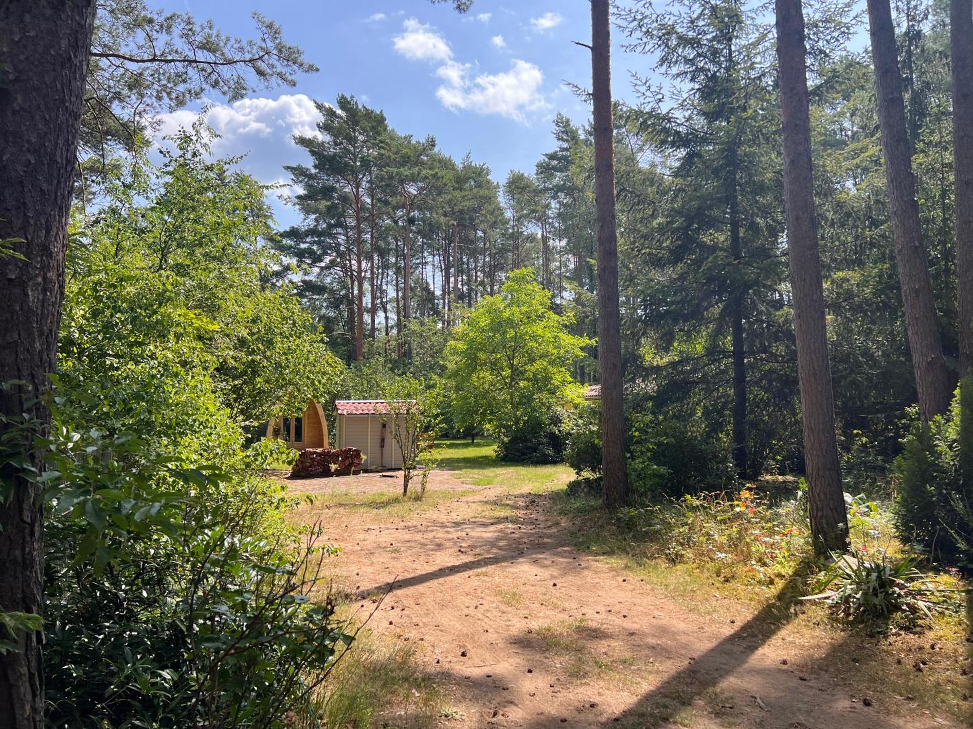 Ferienhaus Im Wald Villa Borkwalde Exterior photo