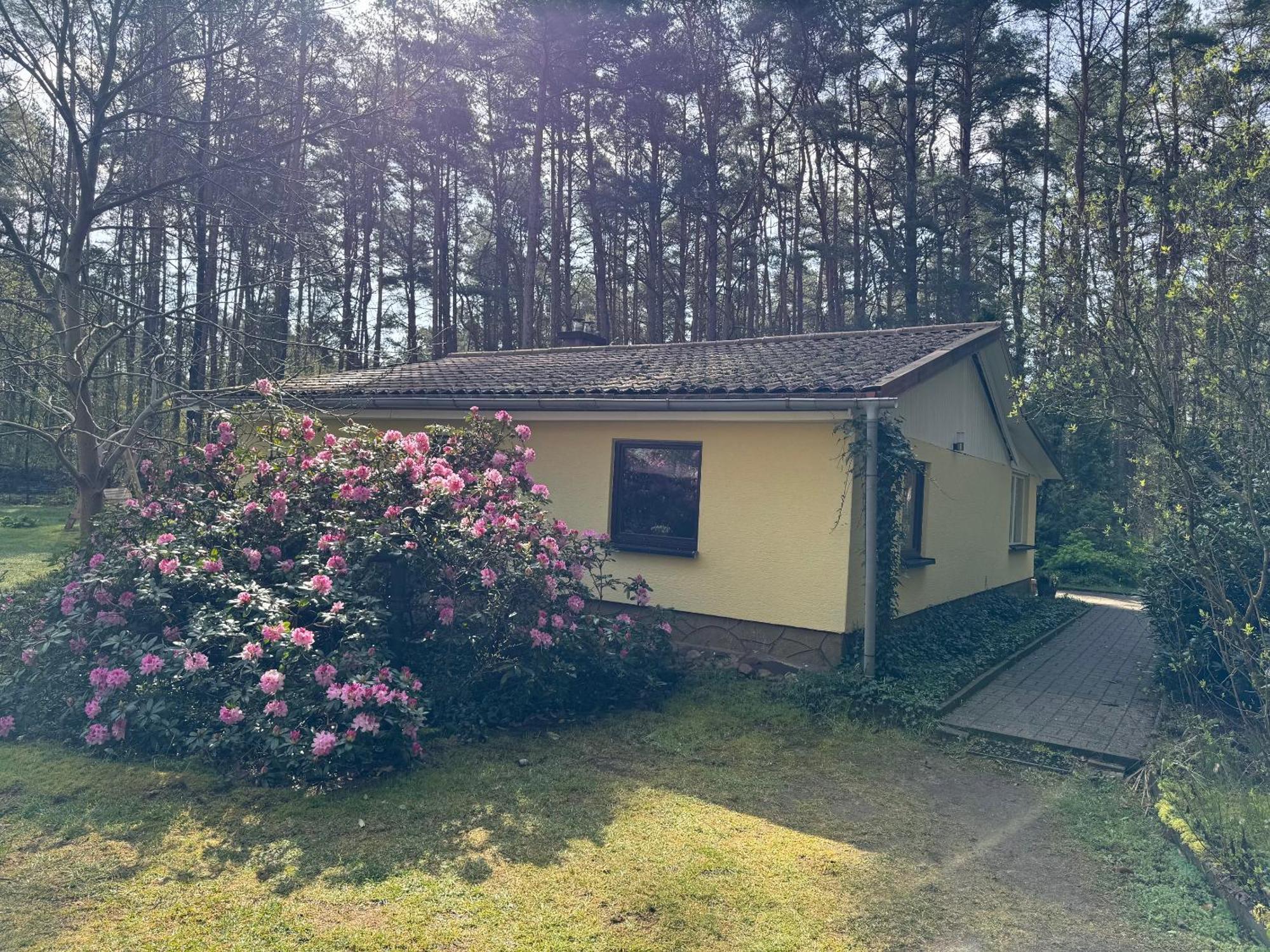 Ferienhaus Im Wald Villa Borkwalde Exterior photo