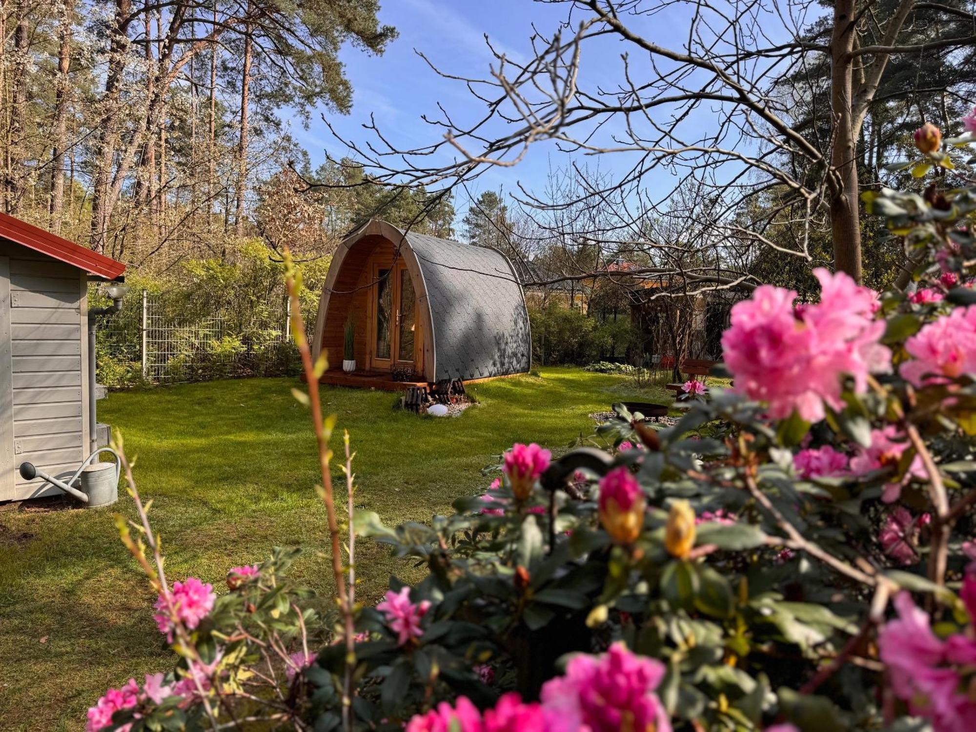 Ferienhaus Im Wald Villa Borkwalde Exterior photo